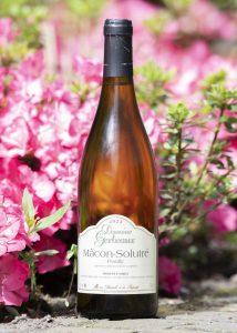 Mâcon-Solutré 2023 - Domaine des Gerbeaux